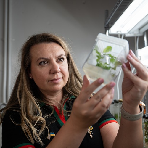 yuliia khoma poses with ferns in the greenhouse