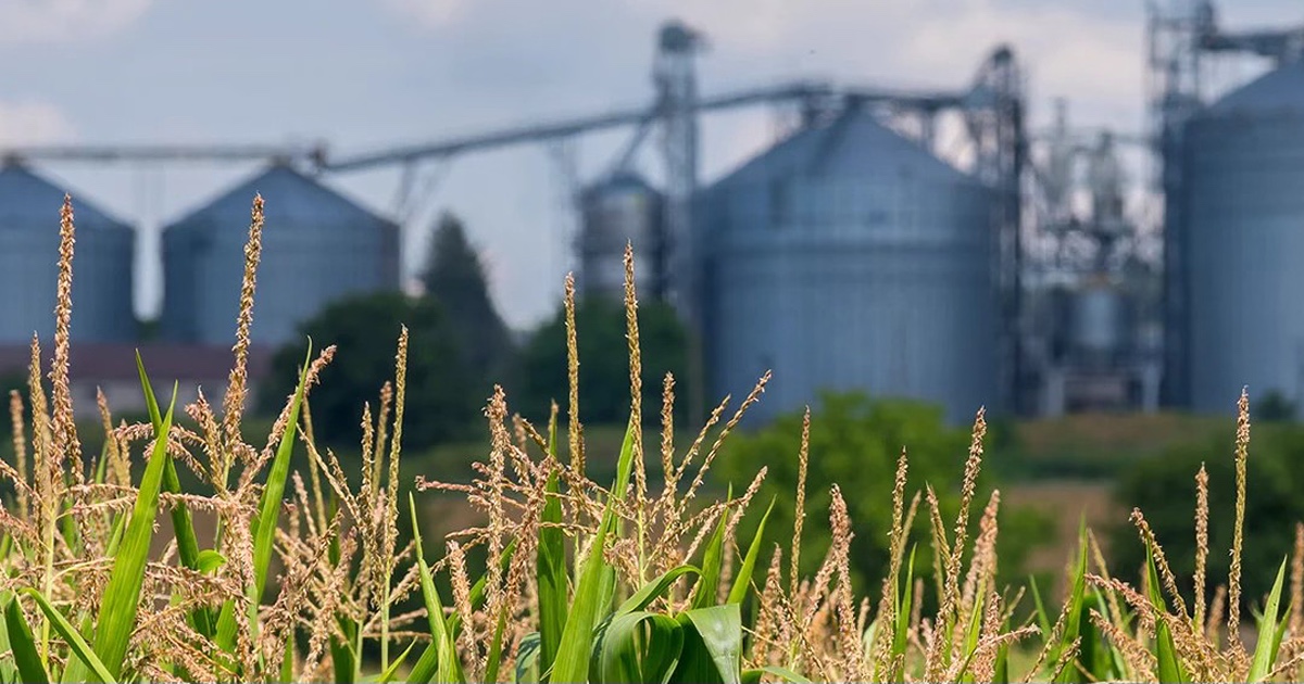 Farm land with silos 