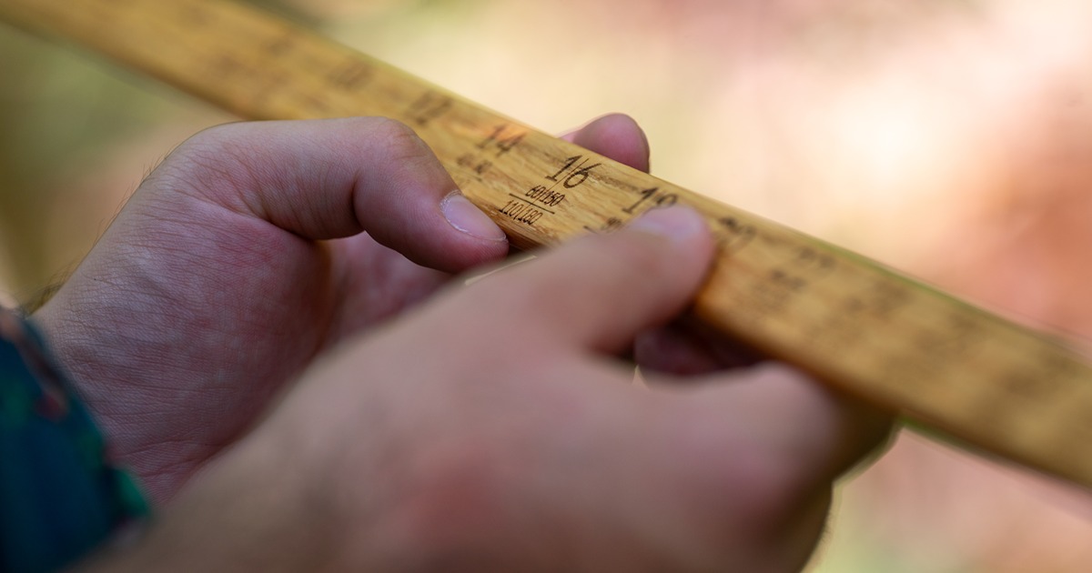 FNR ruler measurement