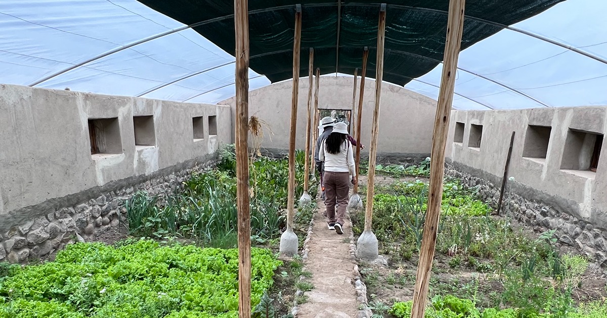 Organic greenhouse in Peru