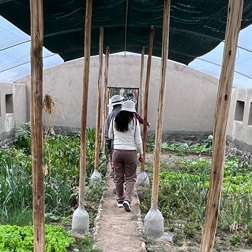 Organic greenhouse in Peru