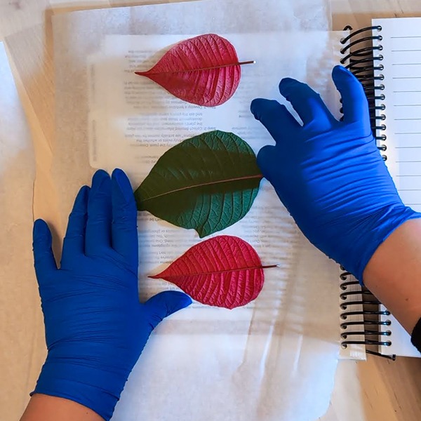 hands moving leaves on parchment paper on top of book