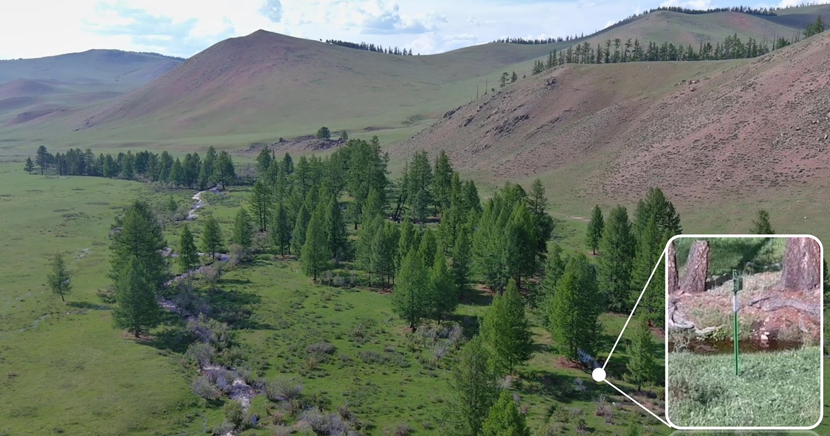 Mongolian Energy Giving Site