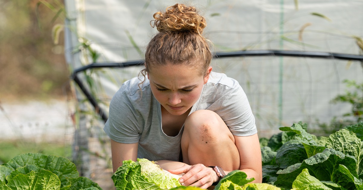 Nenneker helps with Purdue Student Farm harvest