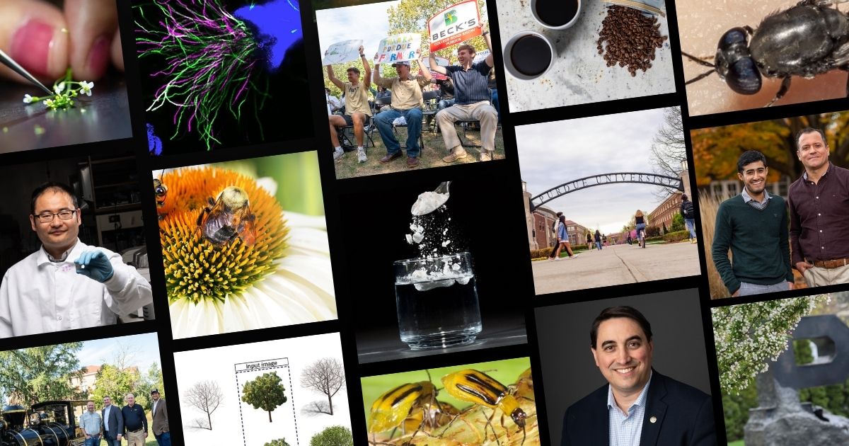Photos from the top 2025 stories for Purdue College of AG