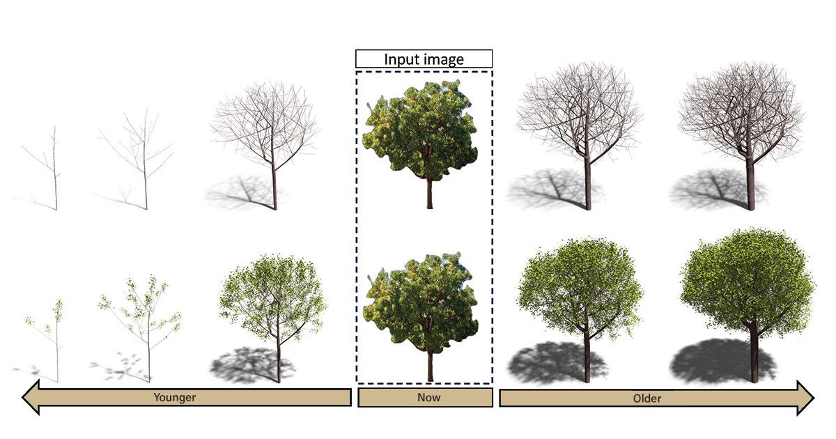 3D tree modeling