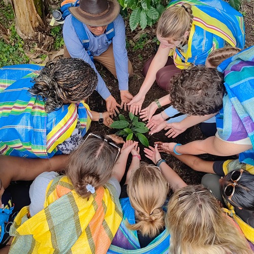 Students help to plant on farm in Peru