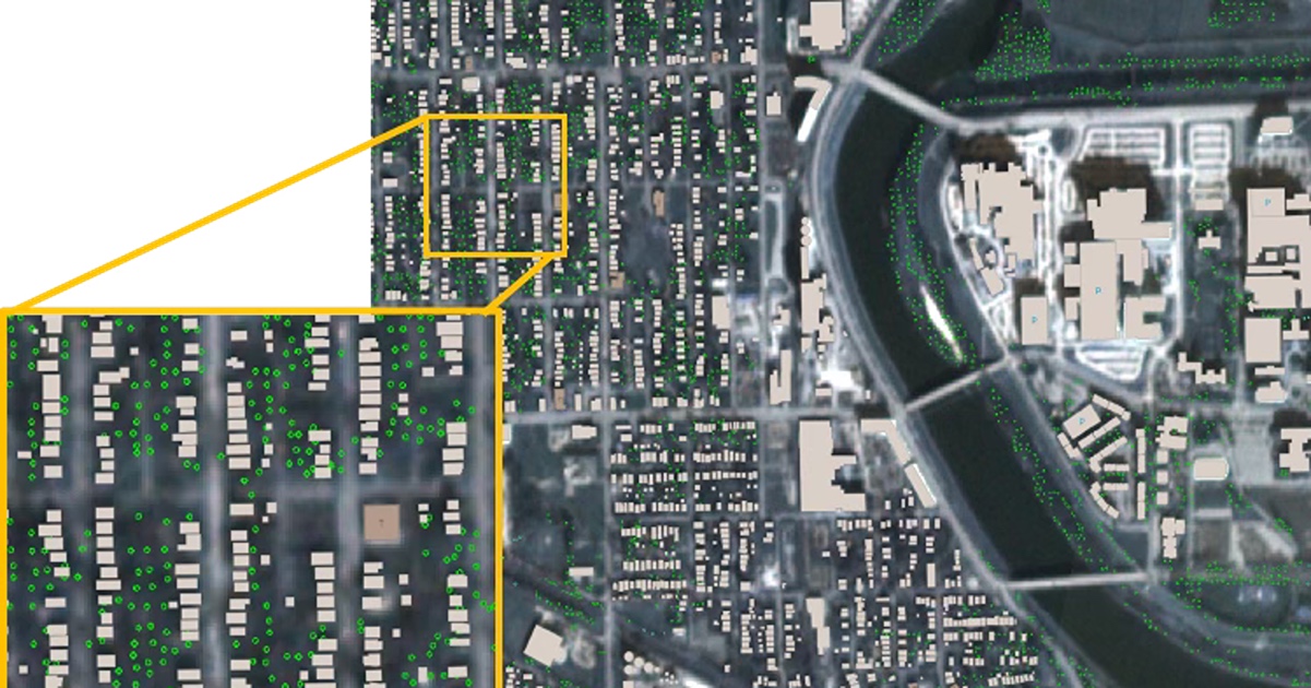 Satellite image of individual trees in Indianapolis, Indiana.