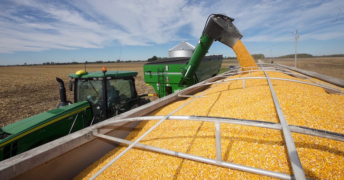 Experts examine trade, policy and economic trends in the 2026 Purdue Agricultural Economics Report outlook issue.