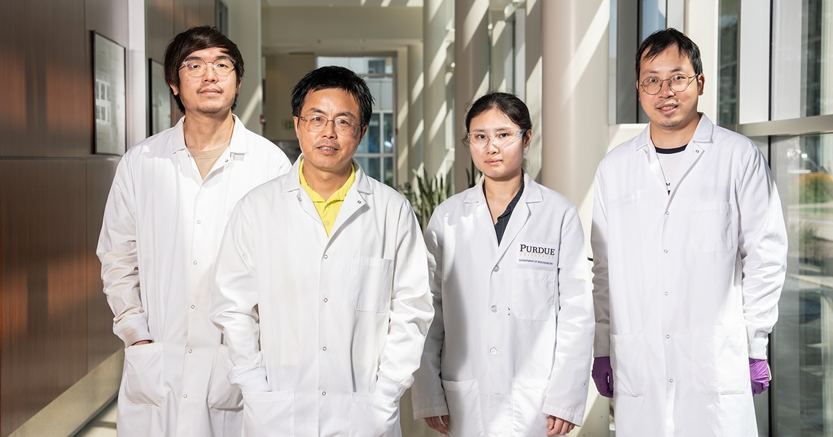 Yi-Kai Liu, W. Andy Tao, Zhoujun Luo, and Zheng Zhang stand in a row wearing white lab coats.