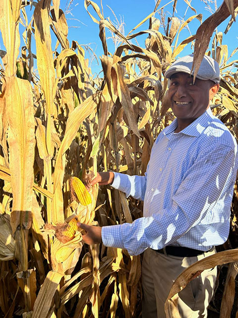 vitamin-a-menkir-field