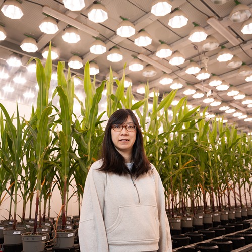 an headshot of Xiaomeng Liu in the AAPF with her differen angles overlayed in the colors red and blue