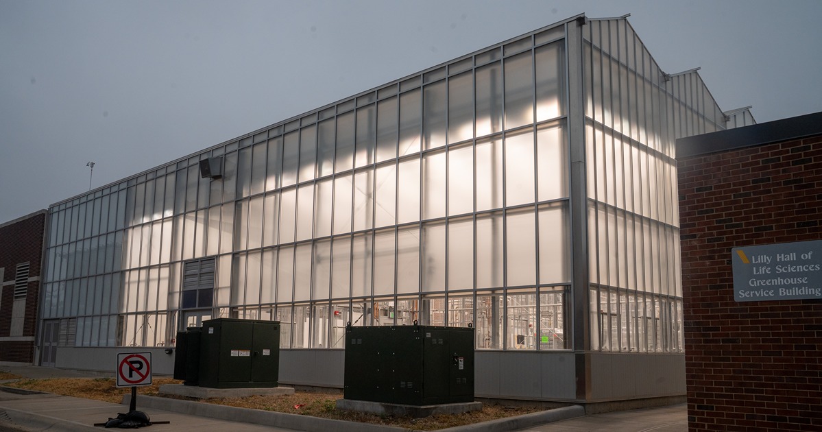 an exterior shot from the west side of the new greenhouses. The sky is stormy gray, but the greenhouses are lit up inside