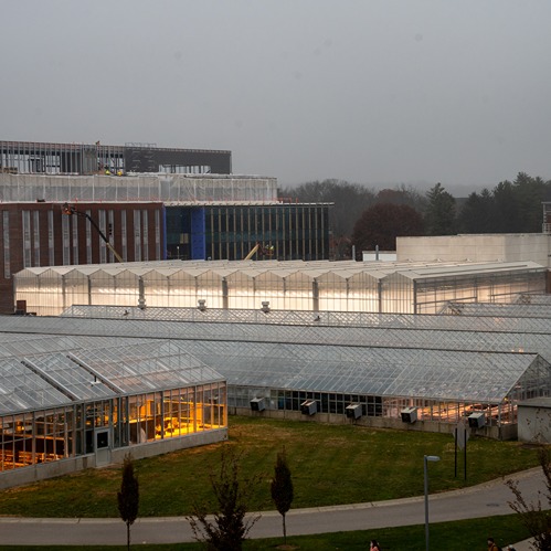 an exterior shot from the west side of the new greenhouses. The sky is stormy gray, but the greenhouses are lit up inside