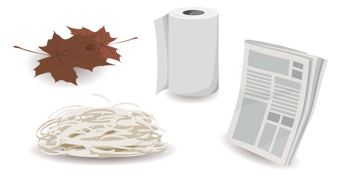 Leaves, shredded paper, paper towel and newspaper are shown.