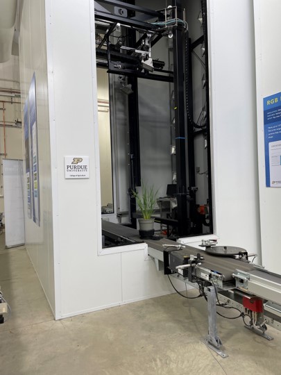 a rice plant on a conveyor belt traveling into a tall imaging booth at the phenotyping facility