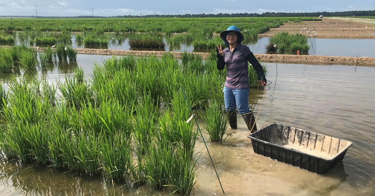 To-chia poses in a rice paddy field wearing big rubber boots and a bucket hat