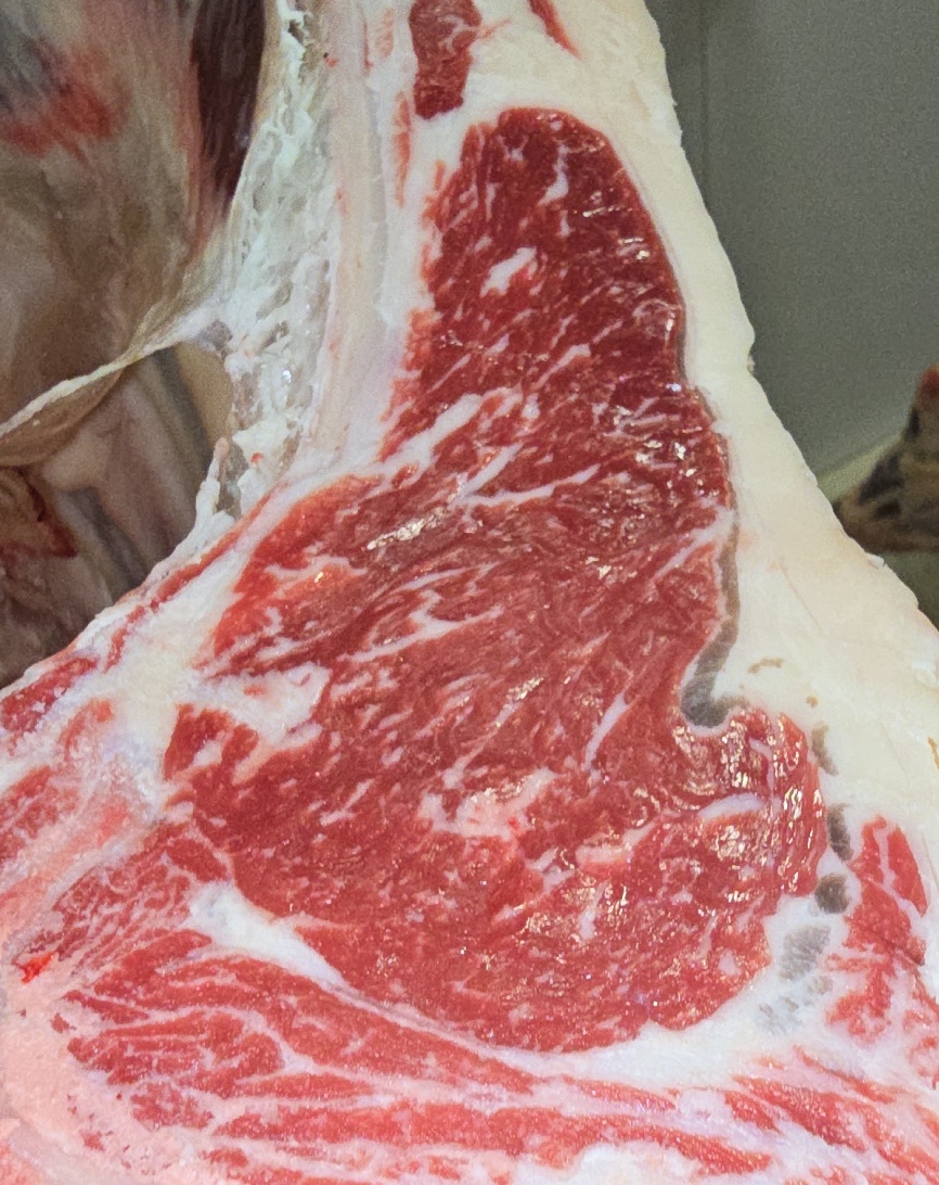 ribeye cut from a dairy cow
