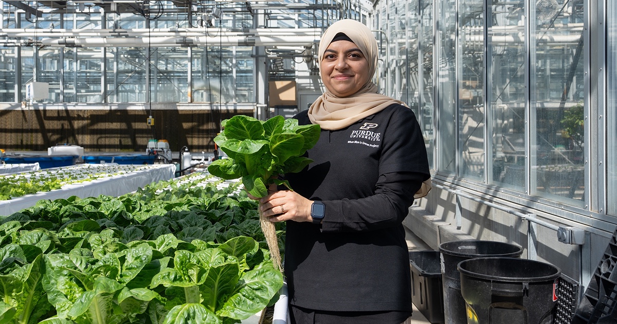 Aya Hussain in greenhouse with lettuce. 