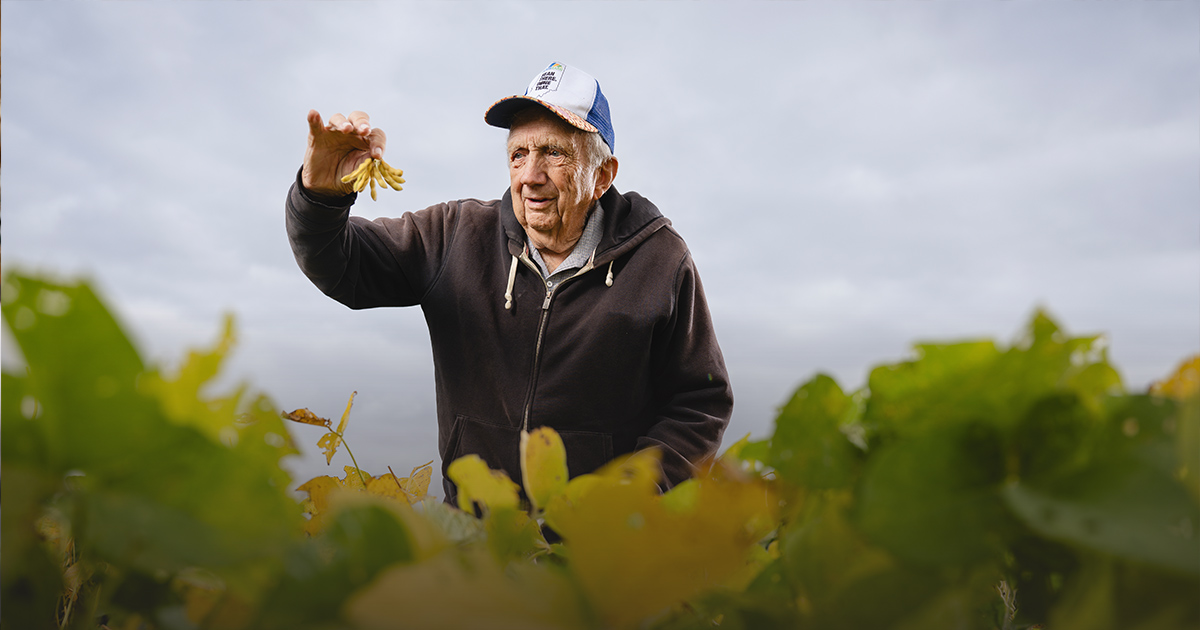 Bob Taylor holds up soybean pods in a field