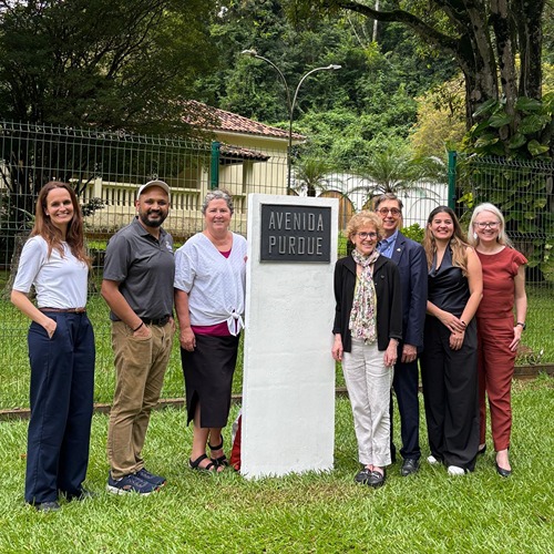 IRA visits Avenida in Brazil