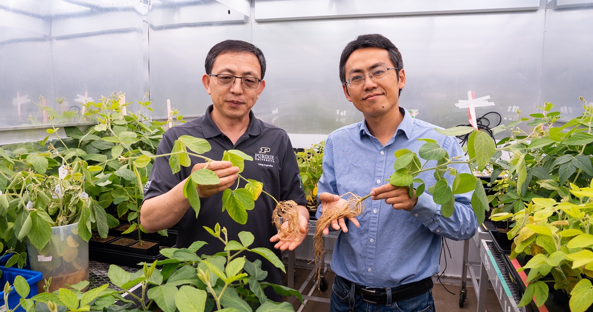 Two men in a greenhouse, each holding a plant, surrounded by vibrant greenery. 