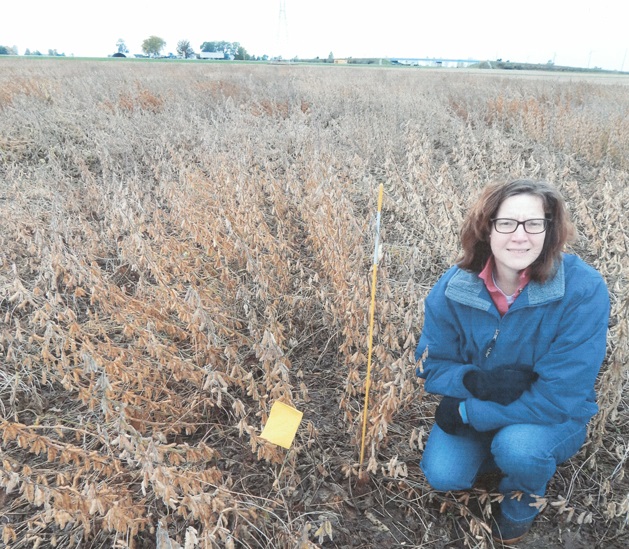 Bob Taylor's daughter, Salisa, in a soybean field