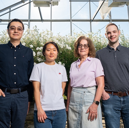 Four people in a greenhouse stand next to a lush growth of petunia flowers.