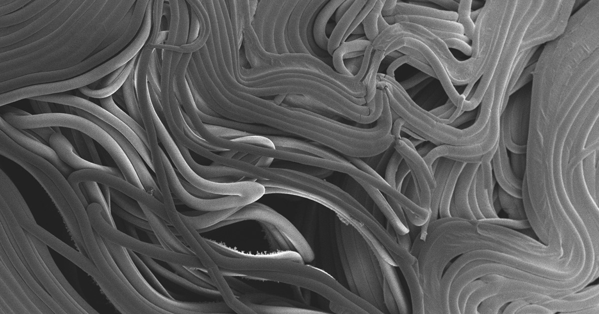 Electron microscopy close up of cotton fibers in gray scale