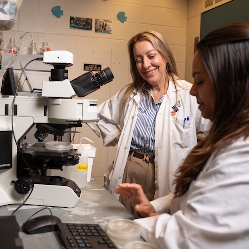Andrea Liceaga with a graduate student in a lab looking at a microscope