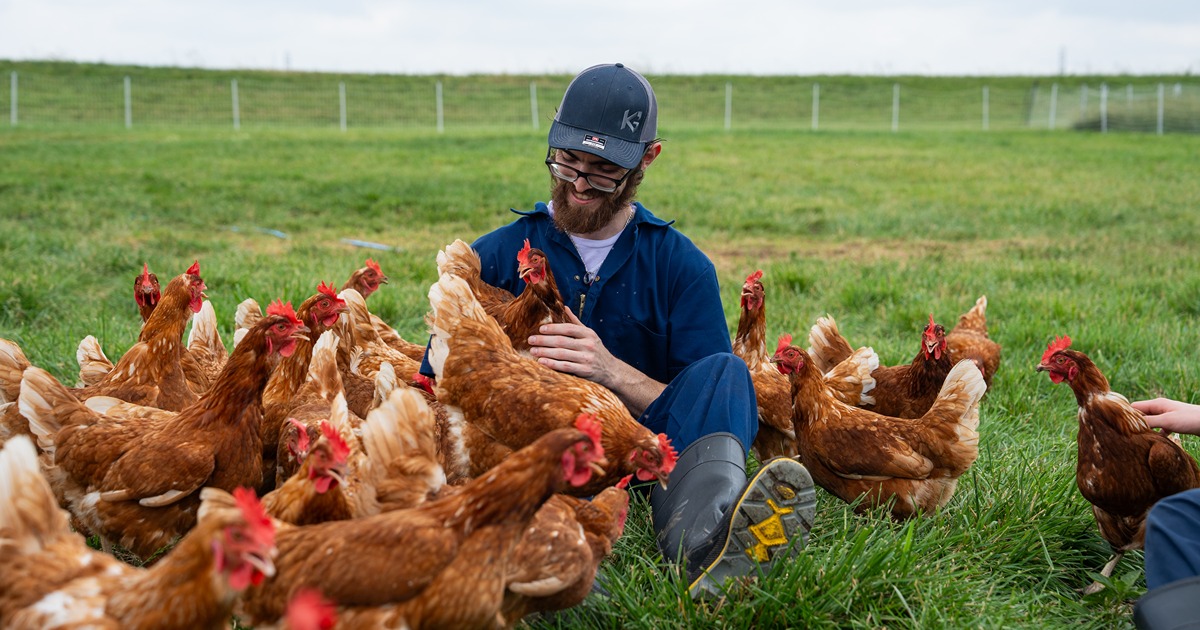 Jared Trask sits with brown and white chickens in a grass field