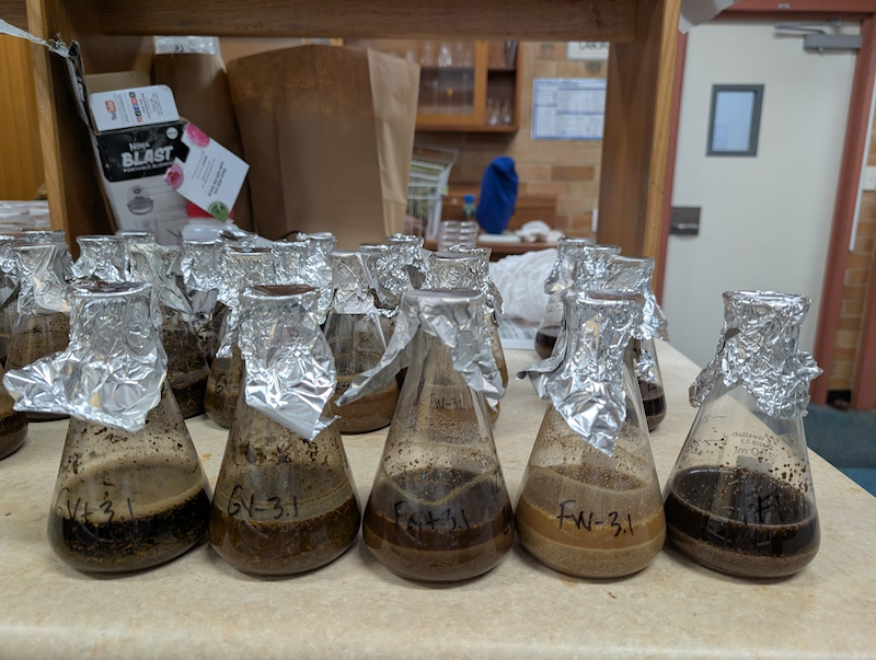 Five beakers with water added to each "compost" sample to make "tea."