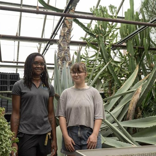 Krista Caltabiano and Eva Misserbiev stand in front of the agave in the greenhouse