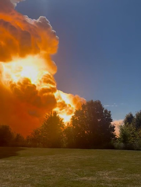 A fire plume reses over a forest in front of a clear blue sky