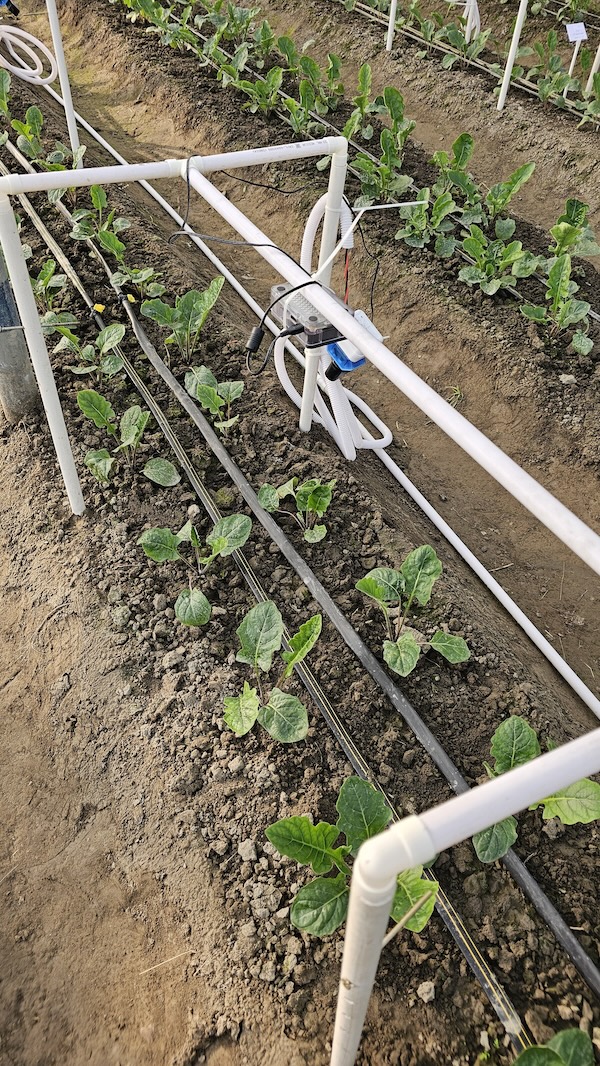 Technology pointed at soil and plants outside.