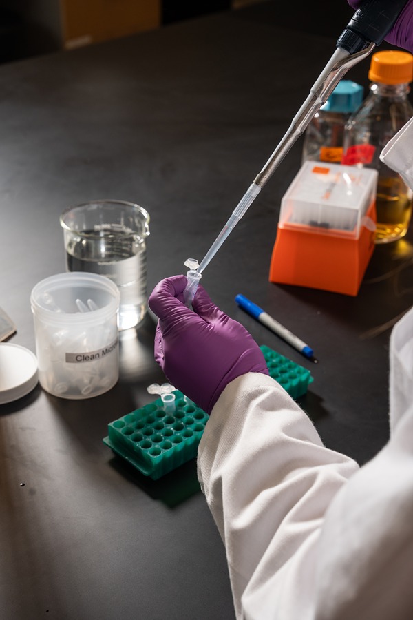 a close up someone in purple gloves using a micropipette and measuring liquid into a tube. Other chemicals and lab supplies sit on the bench beneath