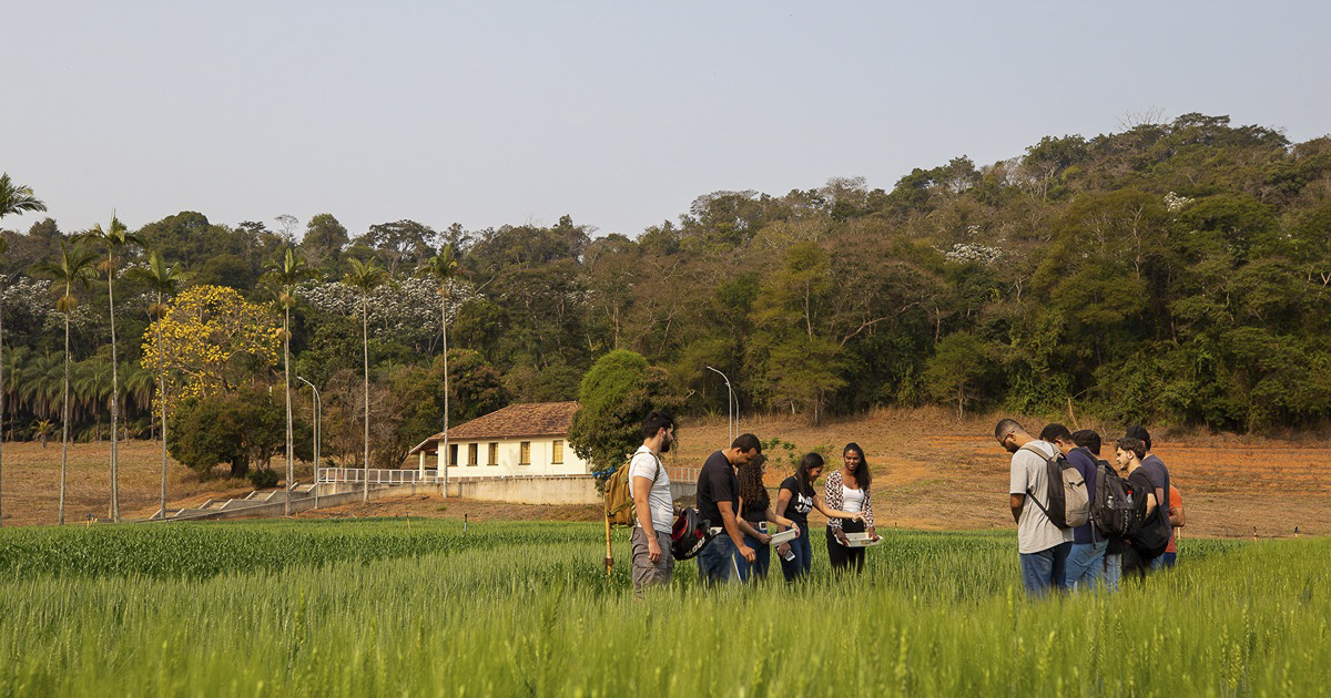 UFV agriculture in field