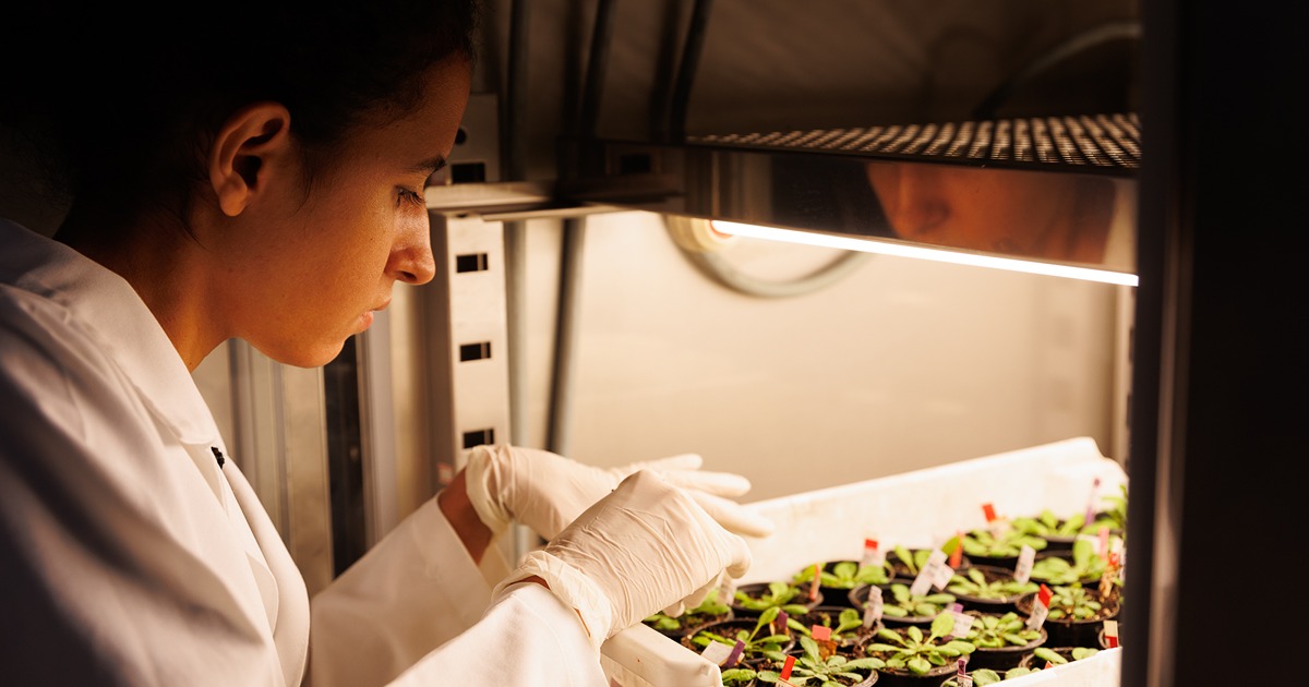 UFV student working with plants