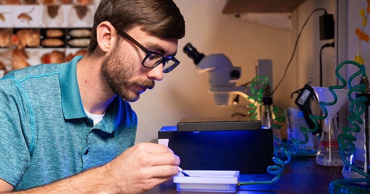 A man with glasses looks through a microscope in a laboratory, illuminated by contrasting blue and red lighting.