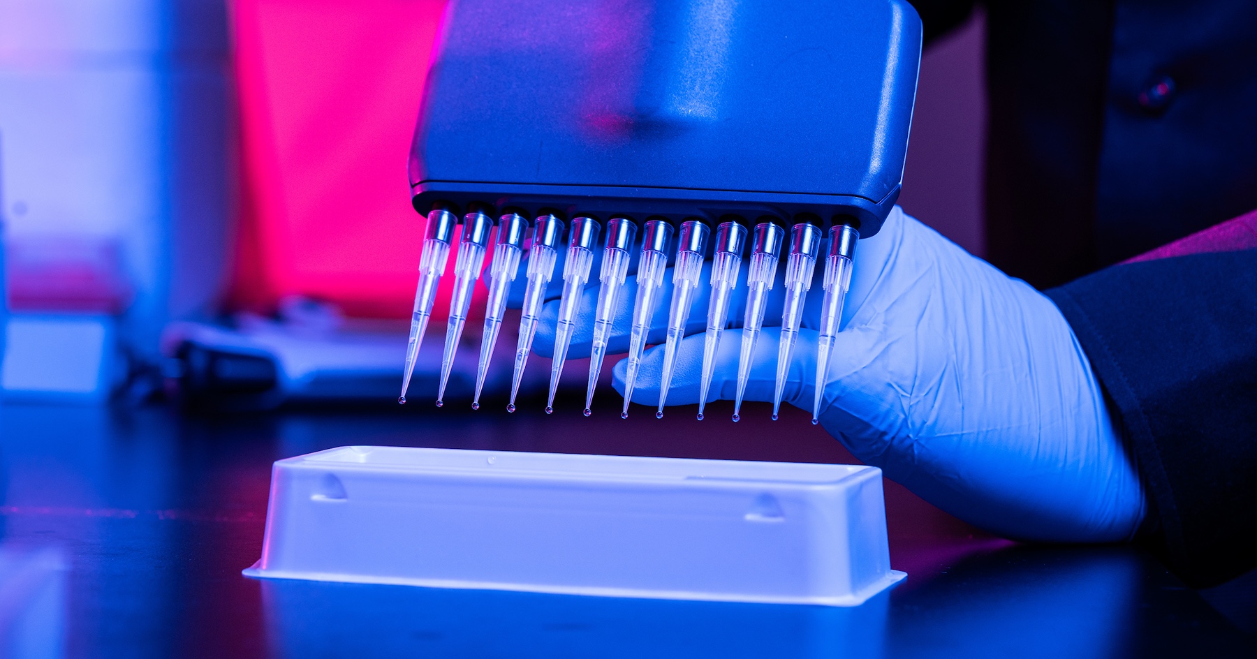 Samples under preparation in a research lab