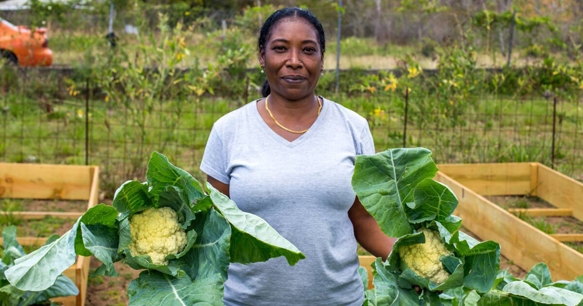 Farmer in field