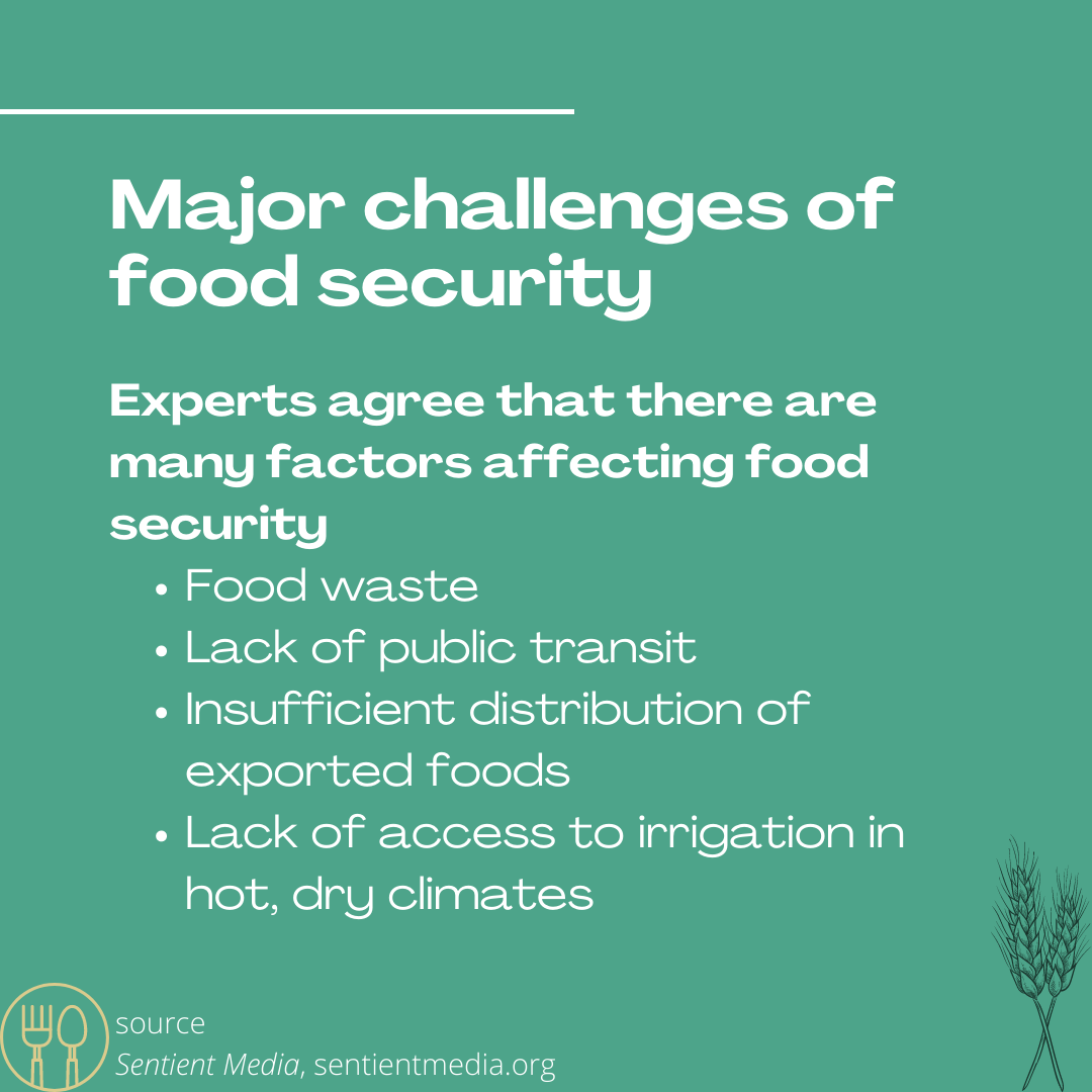 engineering-student-driven-to-improve-food-security-around-the-world