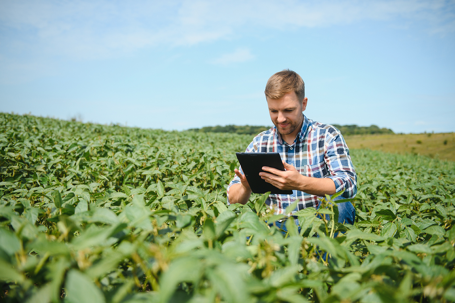 student using a tablet in an agricultural field