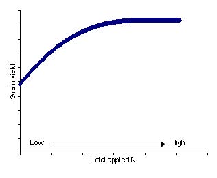 Grain Yield vs Total Applied N