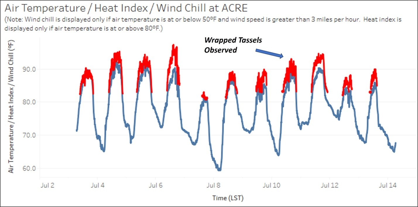 Hourly air temperature and heat index data for ACRE