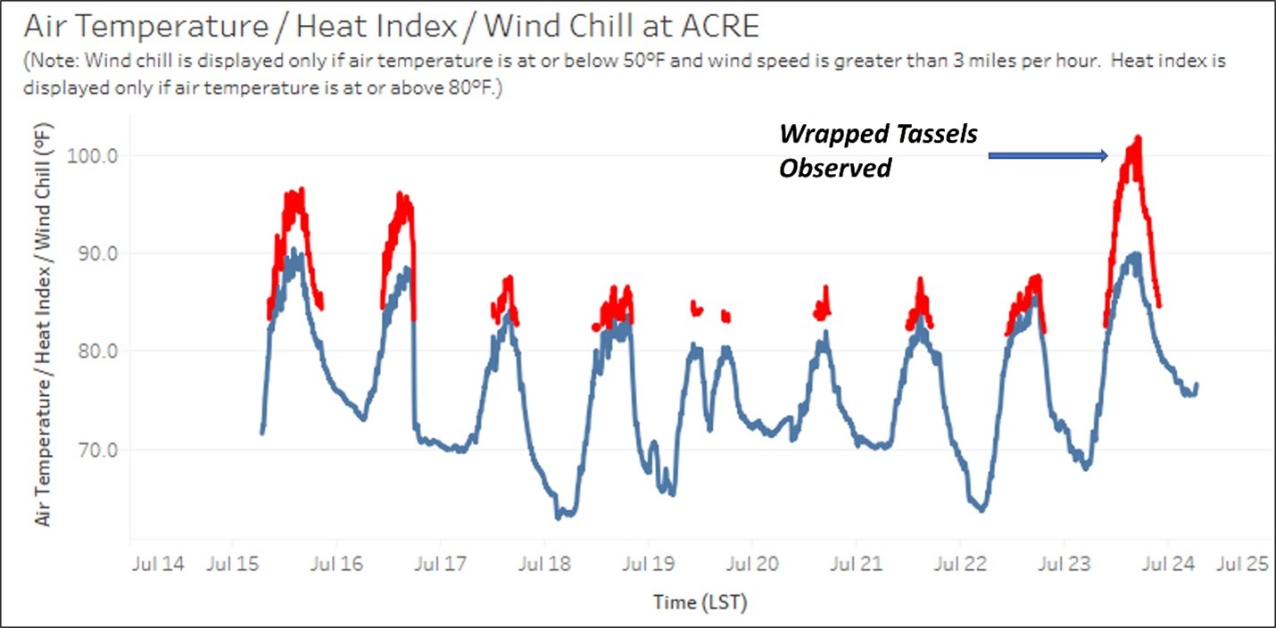 Hourly air temperature and heat index data