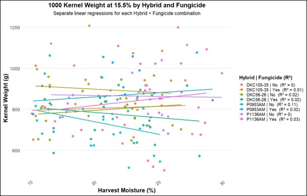 1000 Kernel Weight at 15.5% by Hybrid and Fungicide