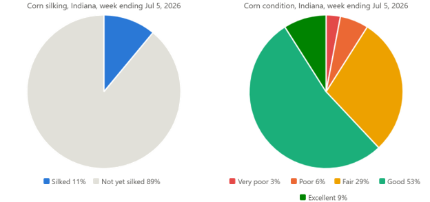 Corn crop condition and silking progress as of July, 5 of 2026.