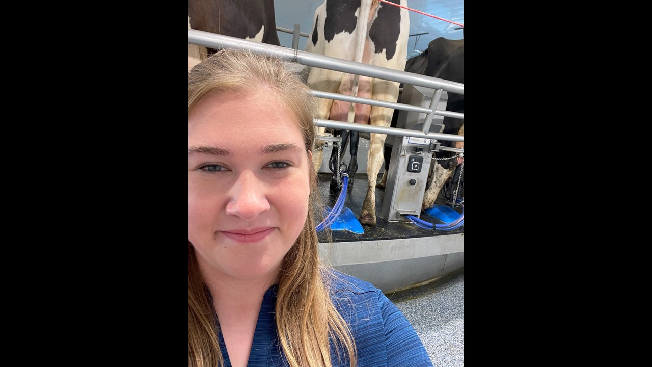 a woman smiling in front of dairy cows