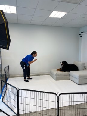 a woman training a dog